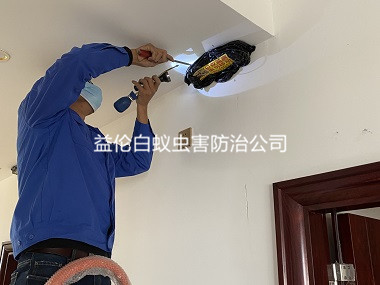 狮岭小区天花板杀白蚁