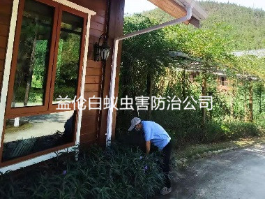 花都农庄消灭老鼠虫害