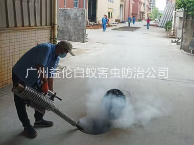 新华街道消灭蚊虫工程