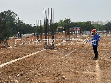 狮岭新建白蚁预防工程