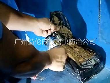 赤坭白蚁侵害防治工程