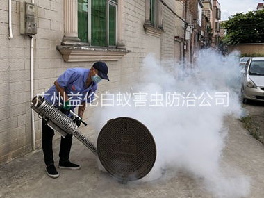 狮岭村庄有害生物消杀工程