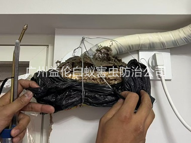 花山房屋白蚁诱杀工程