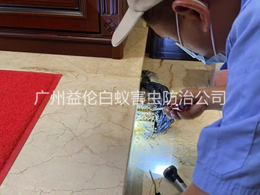 梯面安装诱杀箱监测白蚁工程